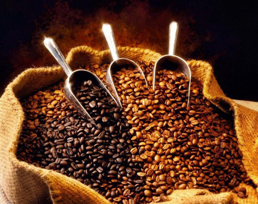 Какой сорт кофе лучше?