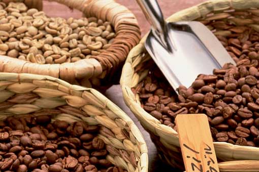 Какие сорта кофе бывают